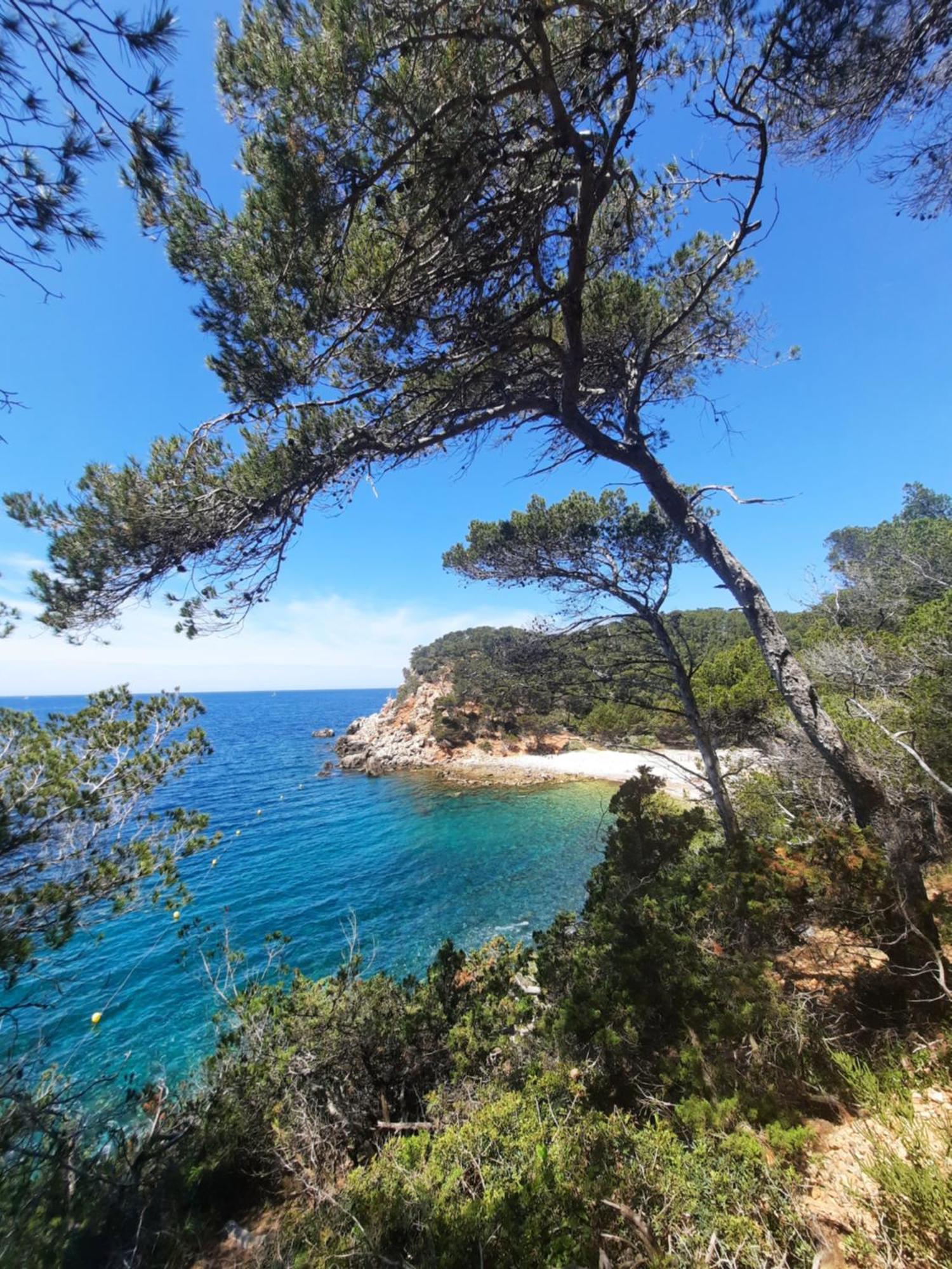 Maison Independante Avec Piscine Privative Pres De La Mer La Garde (Var) Exterior foto